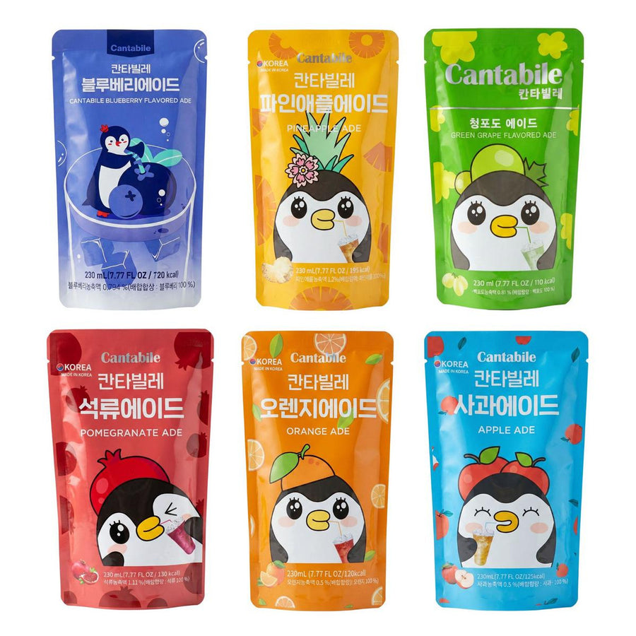 Cantabile Kit, 6 Getränke mit den Geschmacksrichtungen Blaubeere, Ananas, grüne Traube, Granatapfel, Orange und Apfel